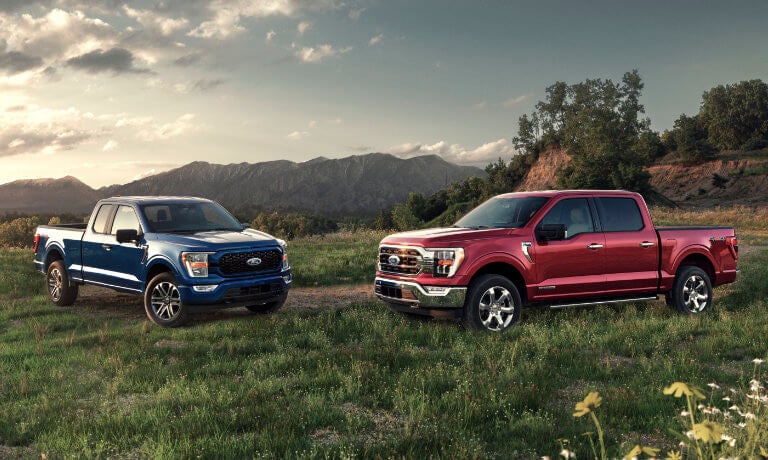 2023 Ford F-150's exterior in grassy field